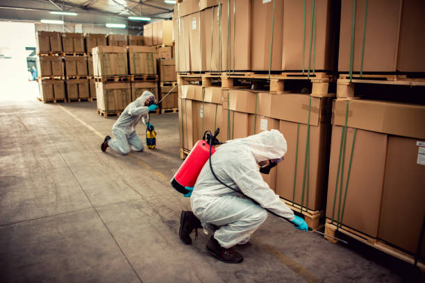 Best Wasp Removal Services  in Twin Grove, IL