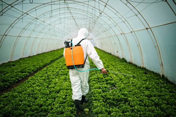Best Pest Inspection Near Me  in Twin Grove, IL