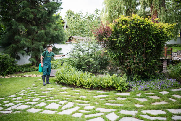 Best Affordable Pest Control Services  in Twin Grove, IL