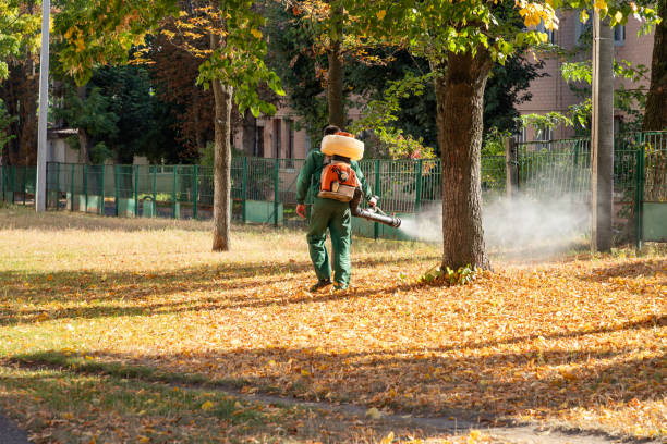 Best Affordable Pest Control Services  in Twin Grove, IL